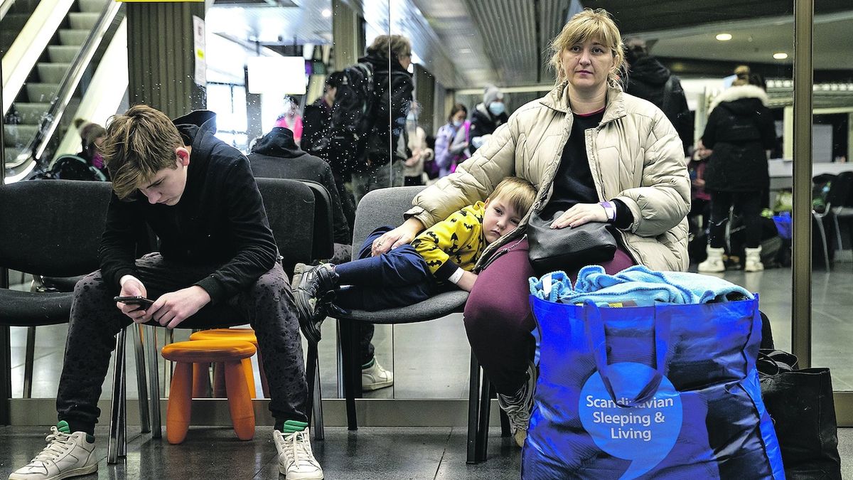 Česko udělilo uprchlíkům z Ukrajiny už půl milionu víz dočasné ochrany